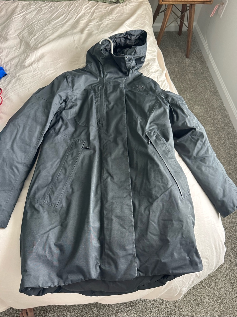 The north face arctic parka